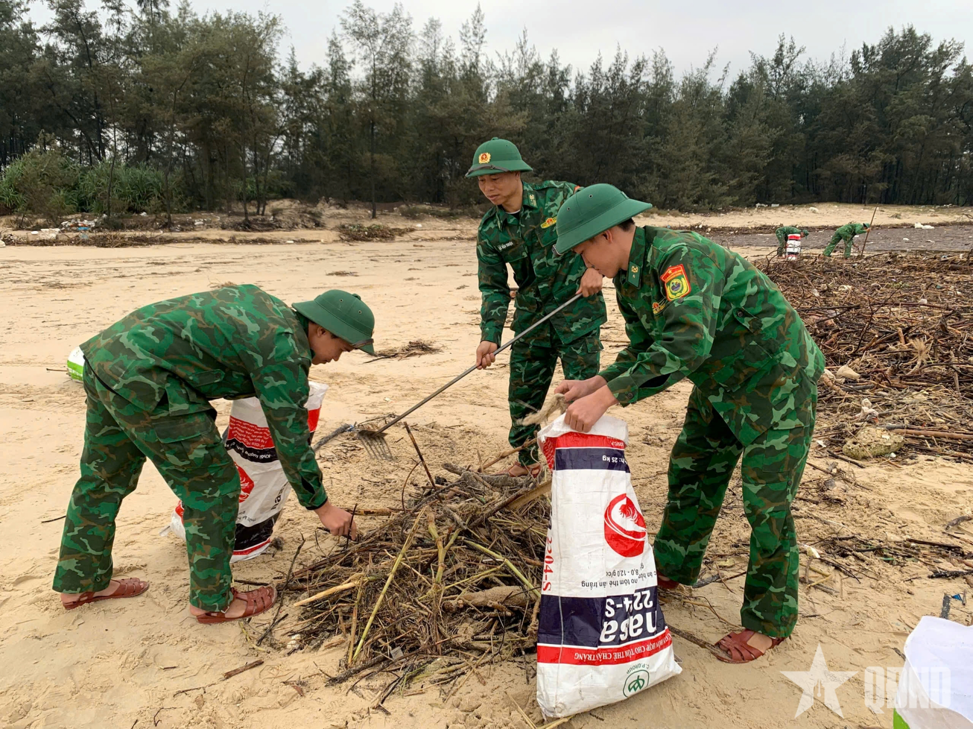 Đồn Biên phòng Triệu Vân ra quân phối hợp làm sạch biển